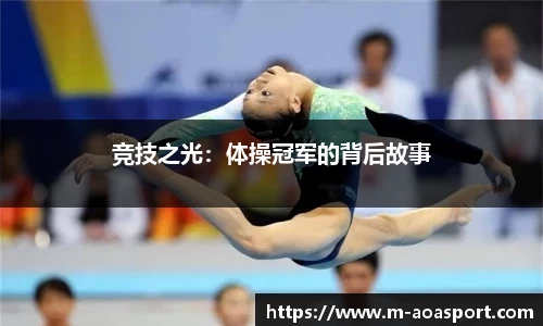 aoa体育官网